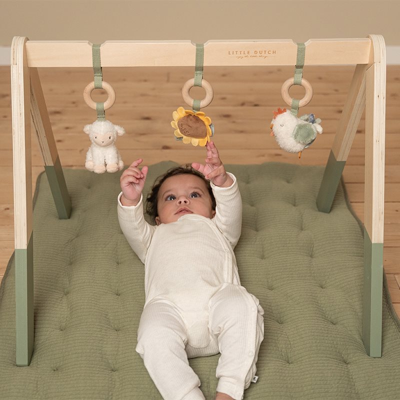 Little Dutch - Babygym | Little Farm