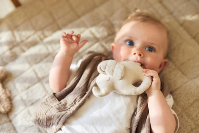 Jollein - Rammelaar Elephant Tales | Sand