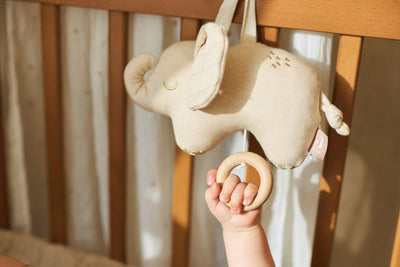 Jollein - Muziektrekker Elephant Tales | Biscuit