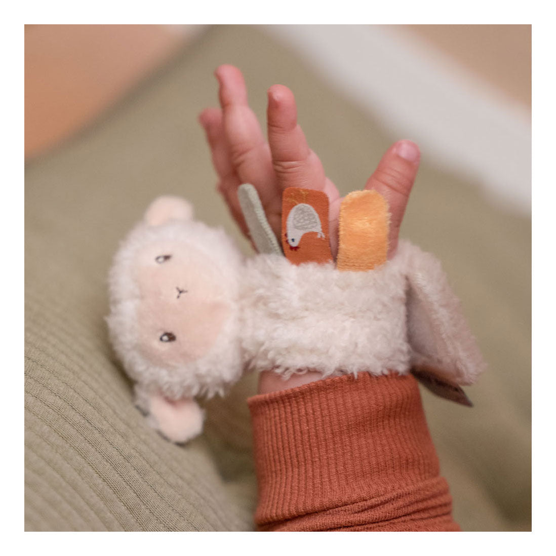 Little Dutch - Rammelaar Pols Little Farm | Schaap