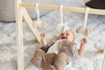Jollein - Babygym Speeltjes Elephant Tales | Olifantjes