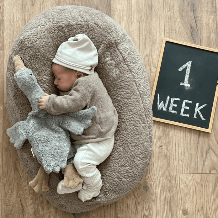 Ilmaha - Hoes Nest Voedingskussen Teddy | Taupe