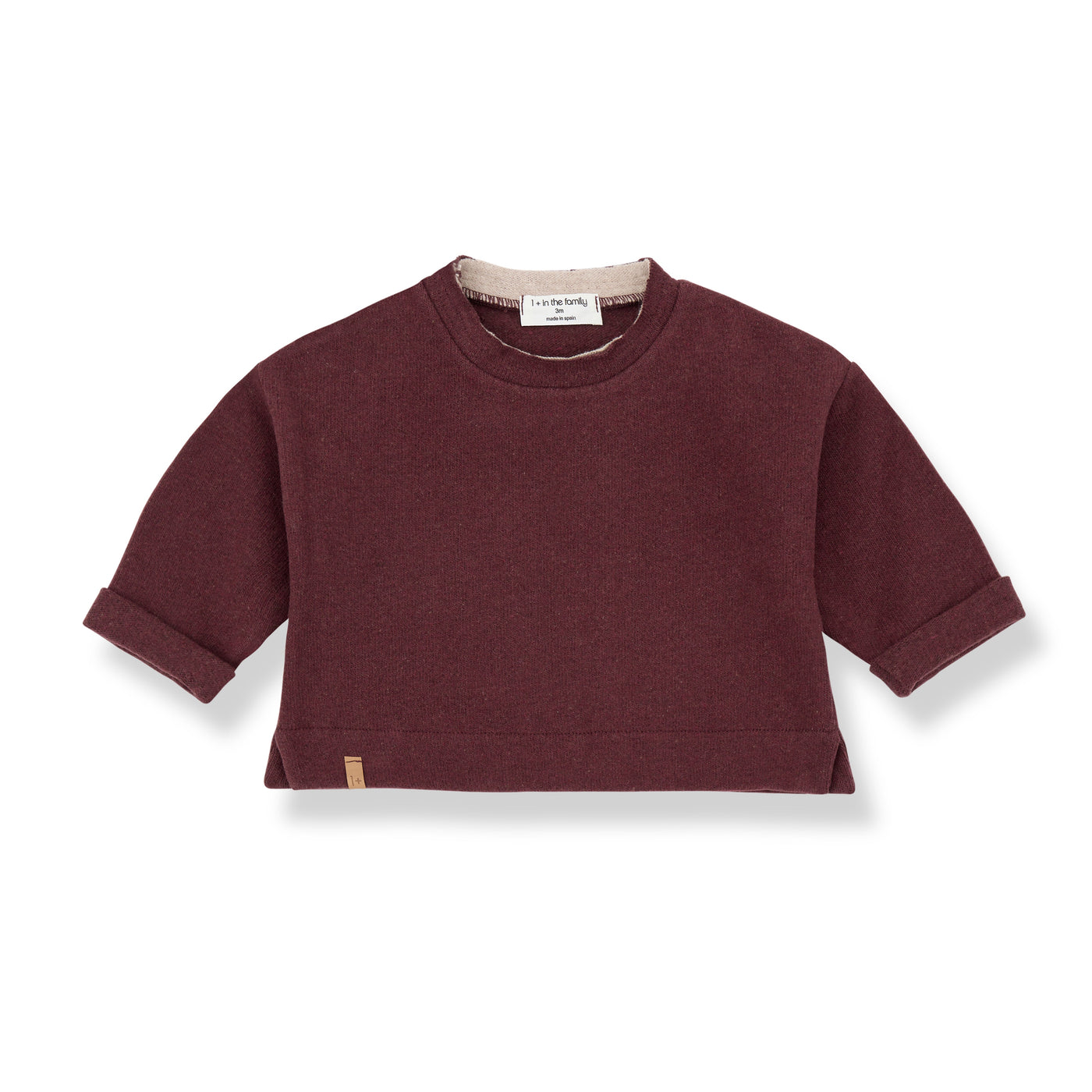 1+ In The Family - Sweater Felix Melanzana