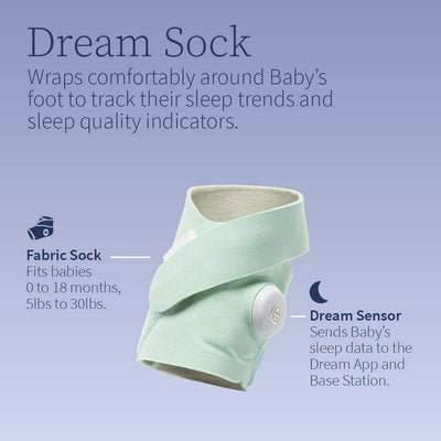Owlet - Dream Duo (Dream Sock + Cam 2) Mint | Slimme Babyfoon