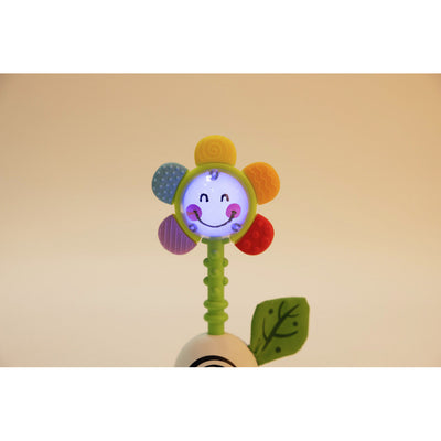 Hape - Rammelaar Shake And Sparkle Flower