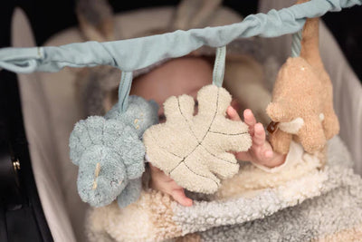 Jollein - Wagenspanner Roarsome | Dino