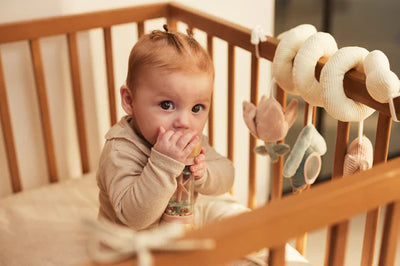 Jollein - Houten Regenrammelaar | Lovely Birds