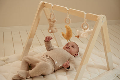 Little Dutch - Babygym Newborn Naturals | Met Speelboog