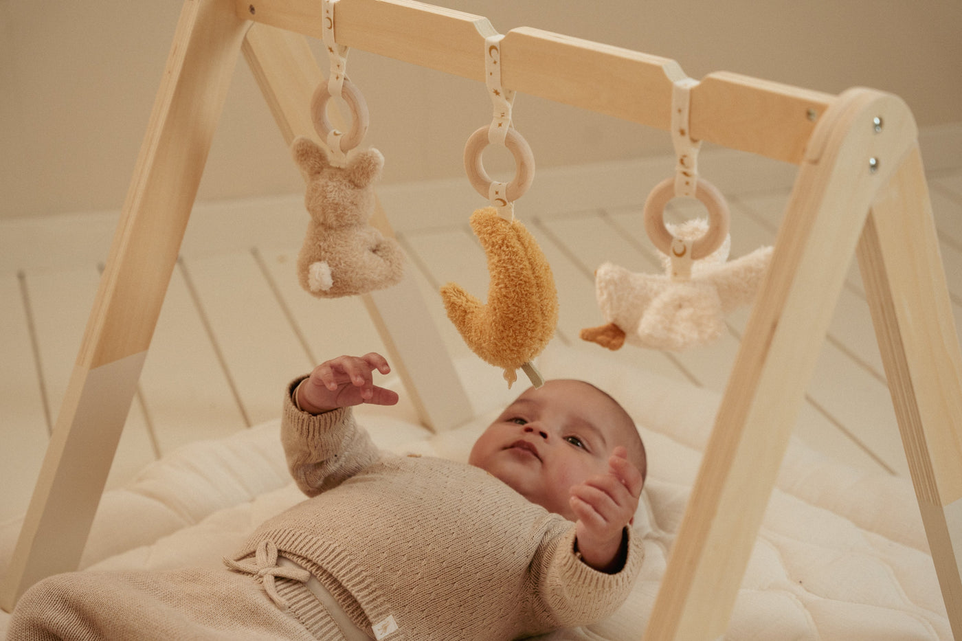 Little Dutch - Babygym Newborn Naturals | Met Speelboog