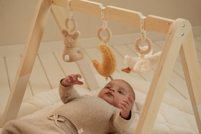 Little Dutch - Babygym Newborn Naturals | Met Speelboog