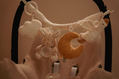 Little Dutch - Wagenspanner Newborn Naturals | Spelen Onderweg