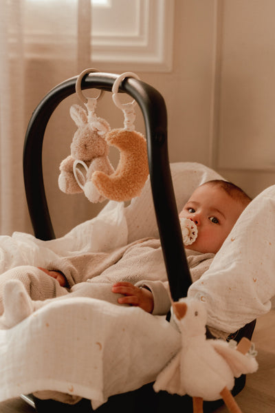 Little Dutch - Activiteitenhangers Newborn Naturals | Set Figuren