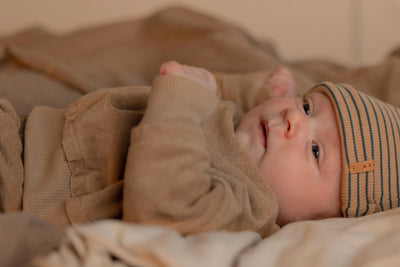 Nixnut - Sweater Mini Biscuit