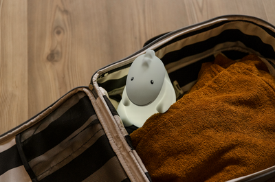 Atelier Pierre - Nachtlamp Jeroom Dino LED Light | Sage