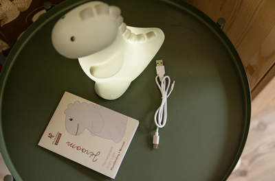 Atelier Pierre - Nachtlamp Jeroom Dino LED Light | Sage