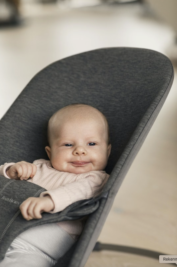 BabyBjörn - Relax Bliss 3D Jersey | Houtskoolgrijs