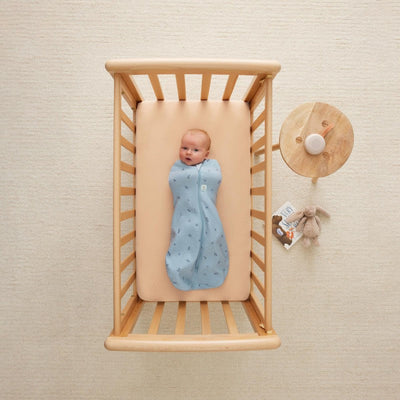 Ergopouch - Slaapzak Tussenseizoen Cocoon 1.0 TOG Dragonflies | Maat 3-6m