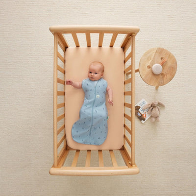 Ergopouch - Slaapzak Zomer Cocoon 0.2 TOG Dragonflies | Maat 0-3m