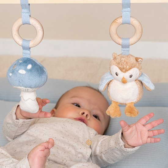 Little Dutch - Babygym | Forest Friends