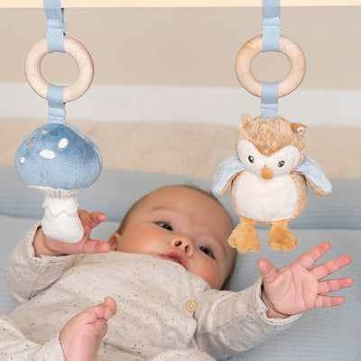 Little Dutch - Babygym | Forest Friends