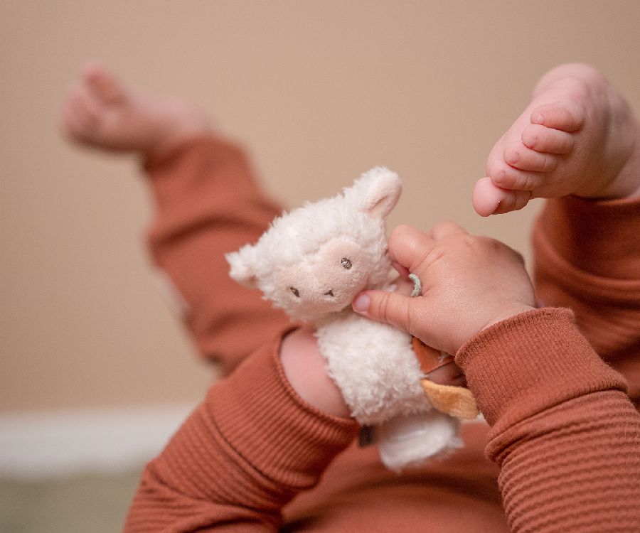 Little Dutch - Rammelaar Pols Little Farm | Schaap